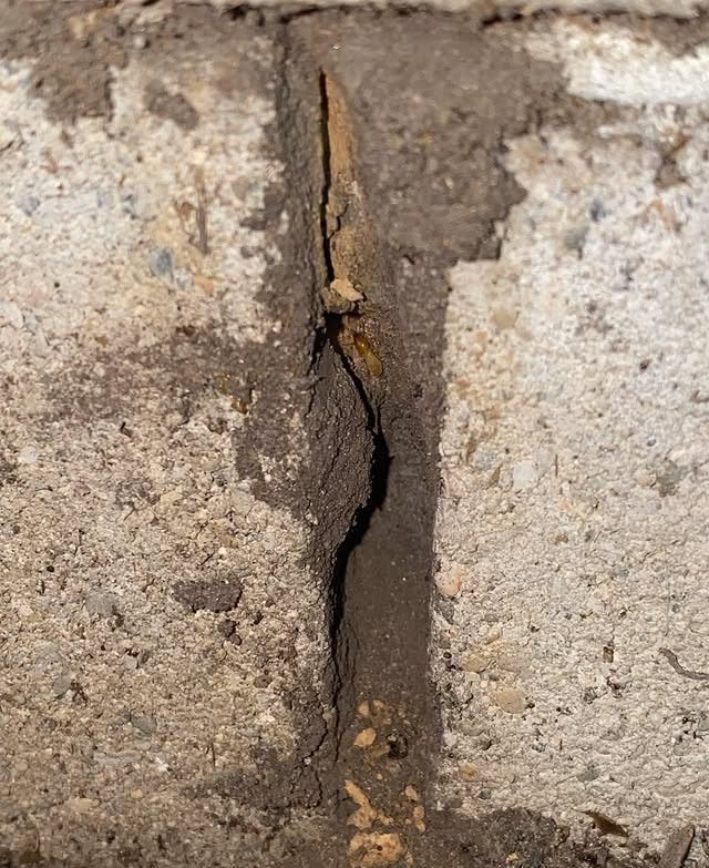 A Close Up of a Brick Wall With a Hole in It — Country to Coast Pest Control In Bellingen, NSW