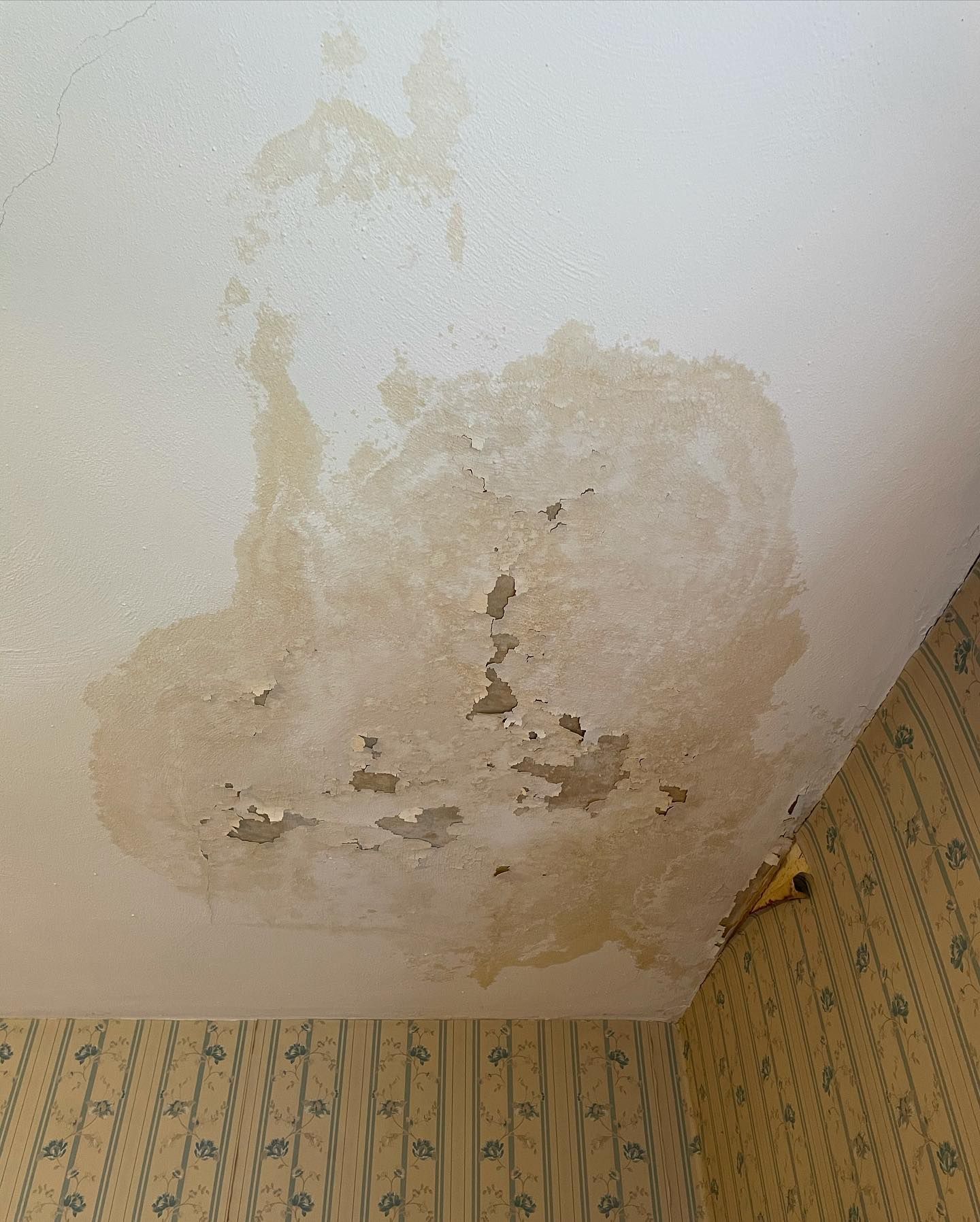 Water damage on a ceiling, showing discolored patches and peeling paint. Wallpapered wall in the corner.
