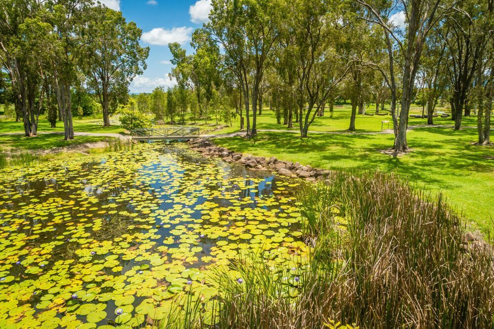 A Pond Filled With Water Lilies in a Park Surrounded by Trees — FNQ Furniture Removals in Ingham, QLD