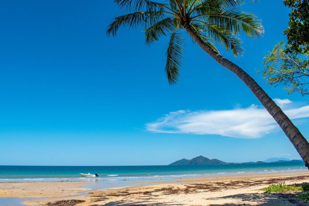 A Palm Tree is Leaning Over a Sandy Beach Next to the Ocean — FNQ Furniture Removals in Mission Beach, QLD