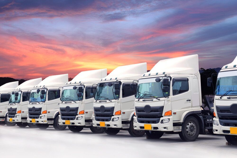 A Row of White Semi Trucks Parked Next to Each Other in a Parking Lot — FNQ Furniture Removals in Tully, QLD