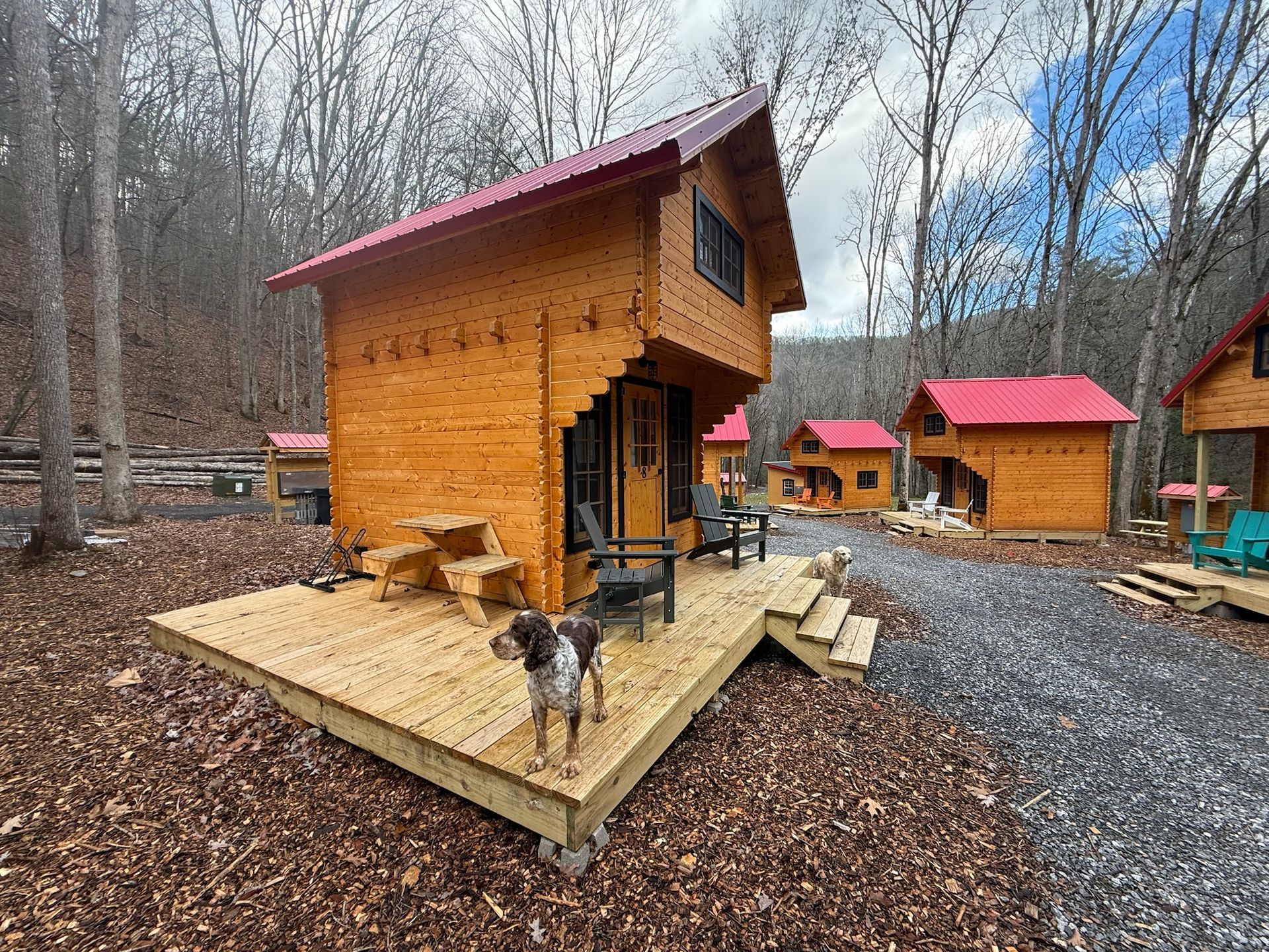Wooden cabins with red roofs in a wooded campground, with a dog on a deck in the foreground