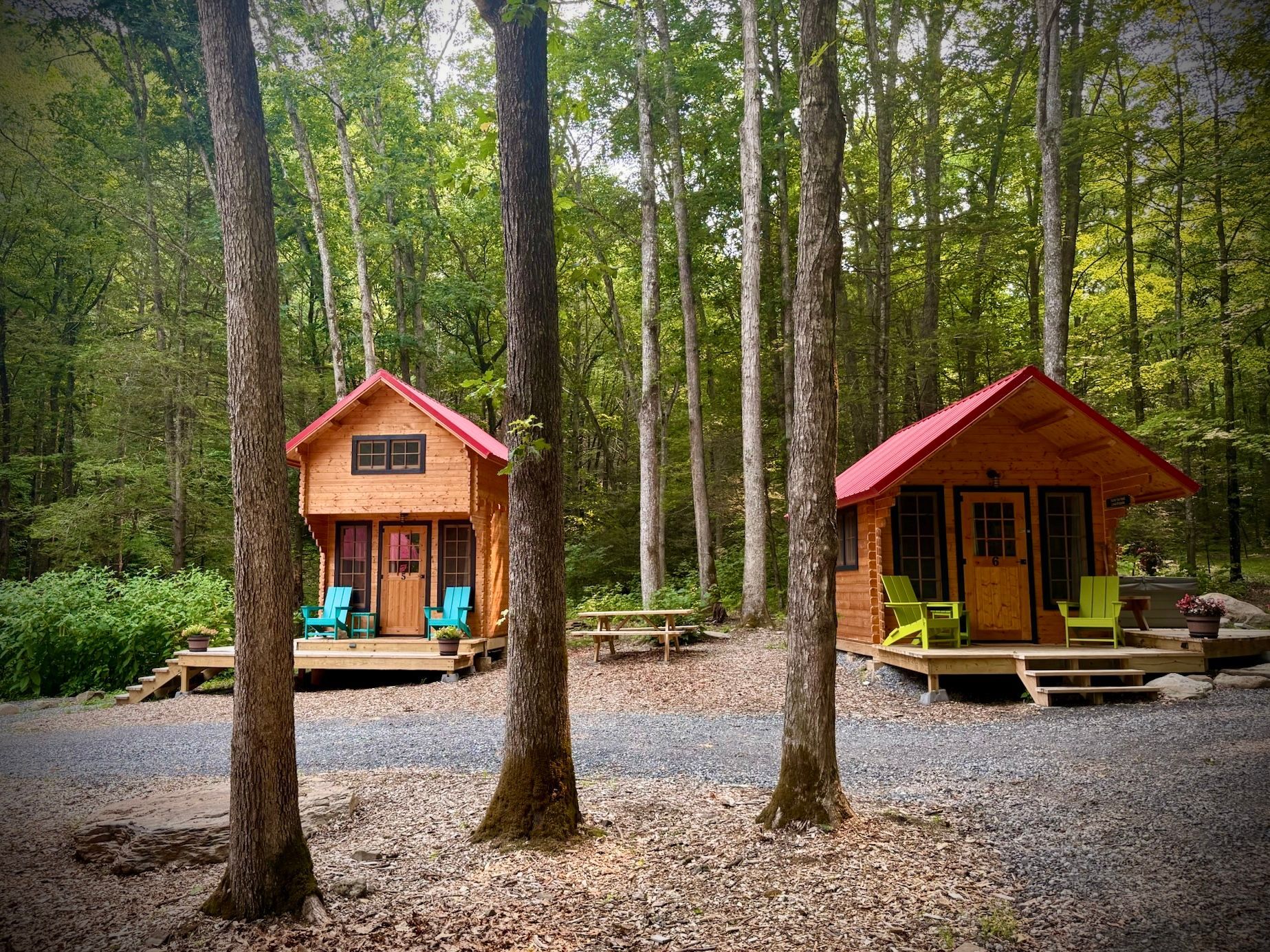 Two small red-roof cabins in a wooded campsite with trees and gravel ground
