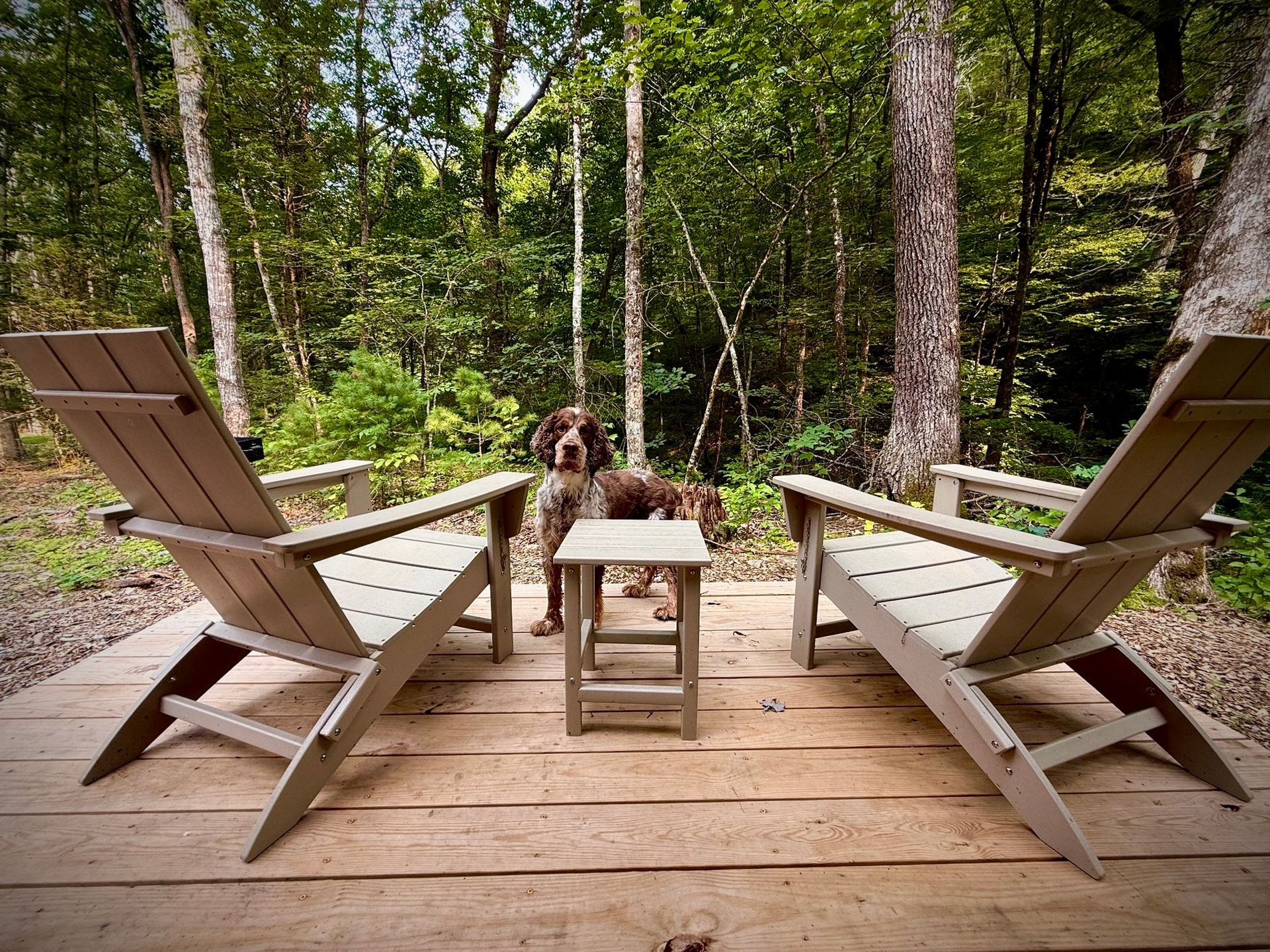 Wooden deck with two adirondack chairs facing a forest, a small table between them, and a dog in the background