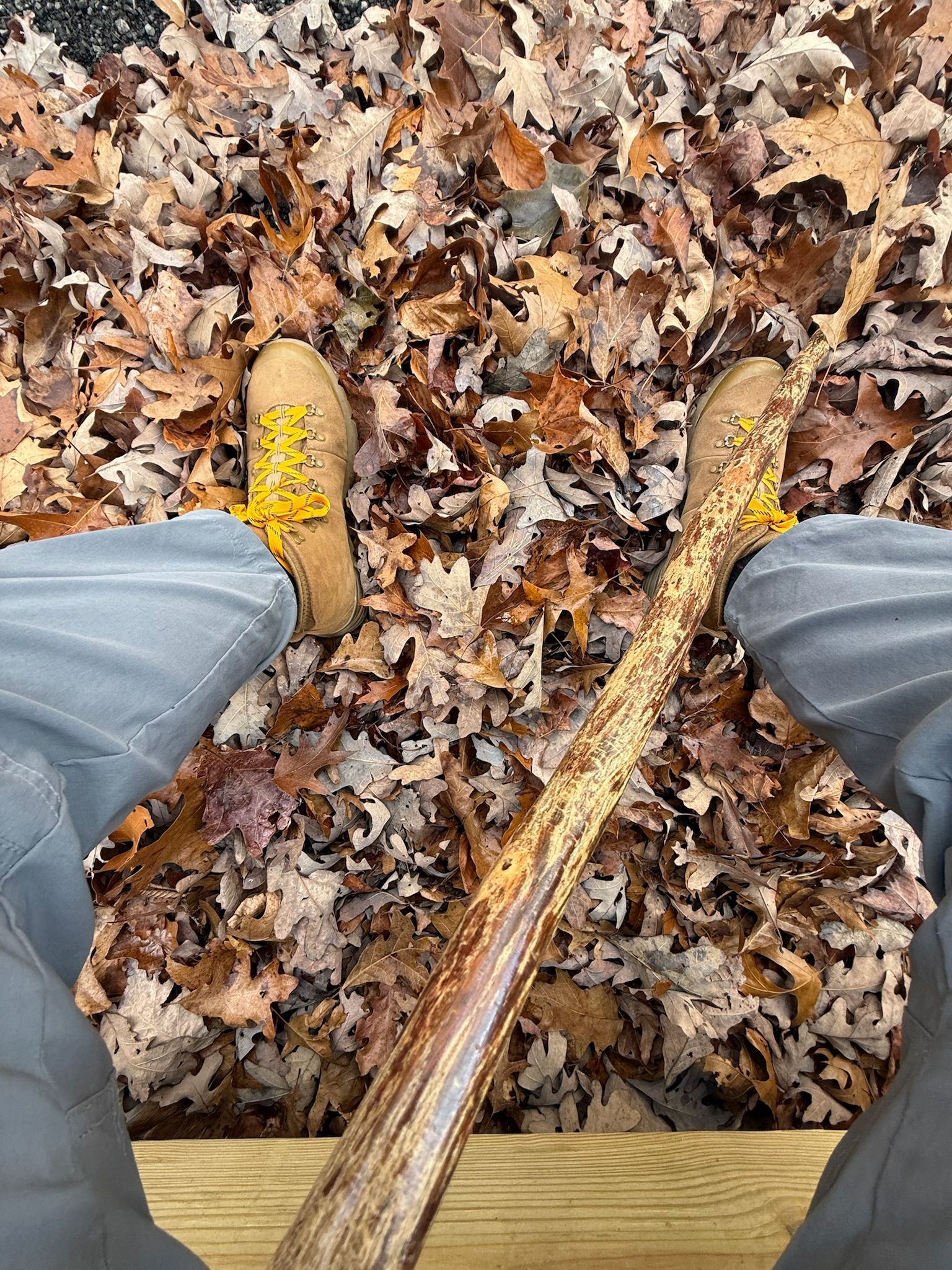 Boots standing on fallen autumn leaves beside a wooden fence rail