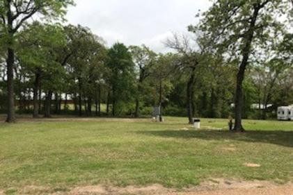 Open grassy park with trees and a small bench under a cloudy sky