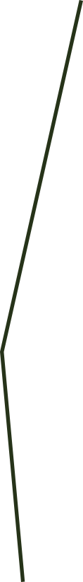 M19A1