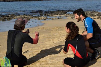 windsurf theory gecko windsurfschool fuerteventura