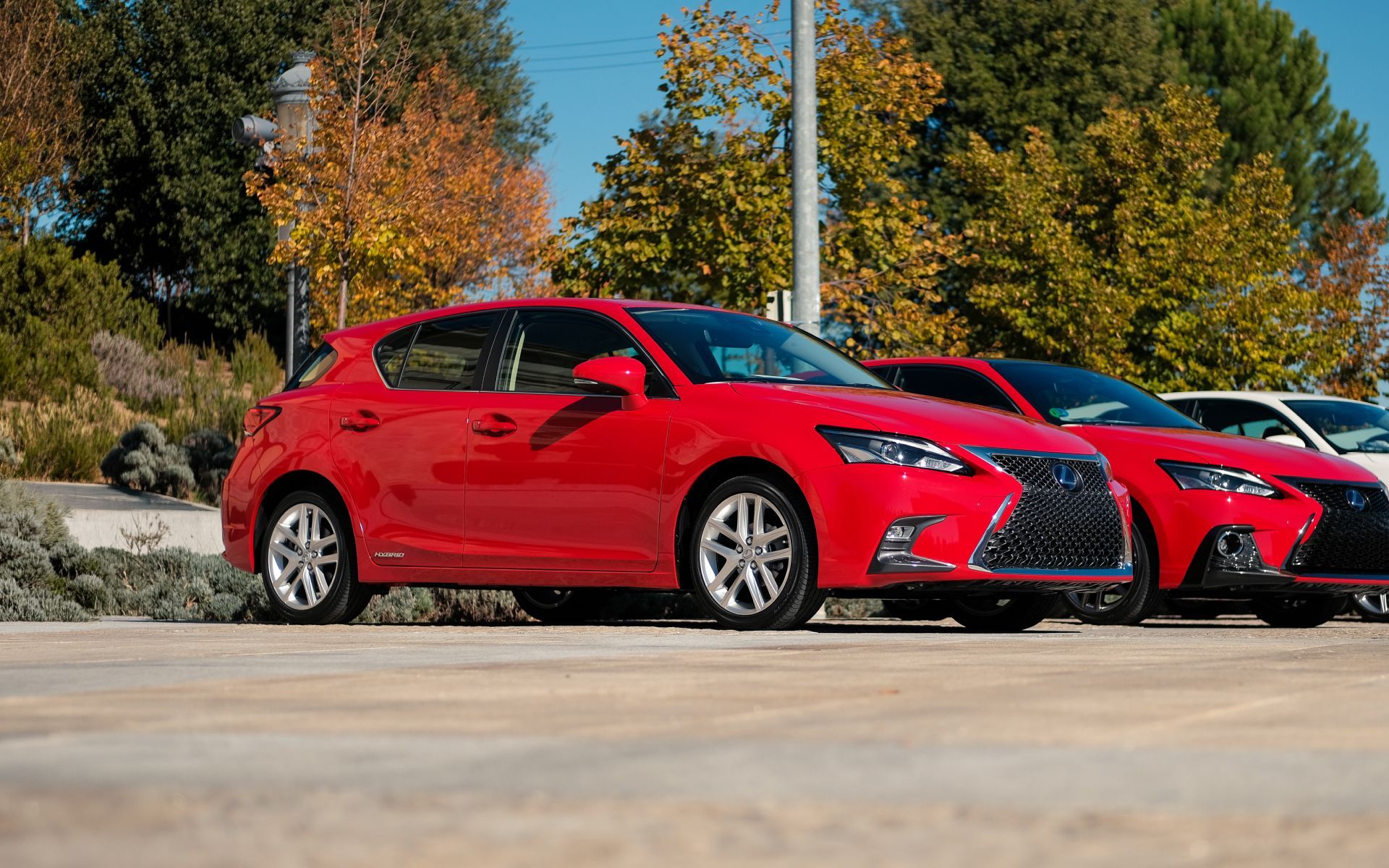 Lexus Auto Repair - Euro Auto Repair in Carrollton, TX