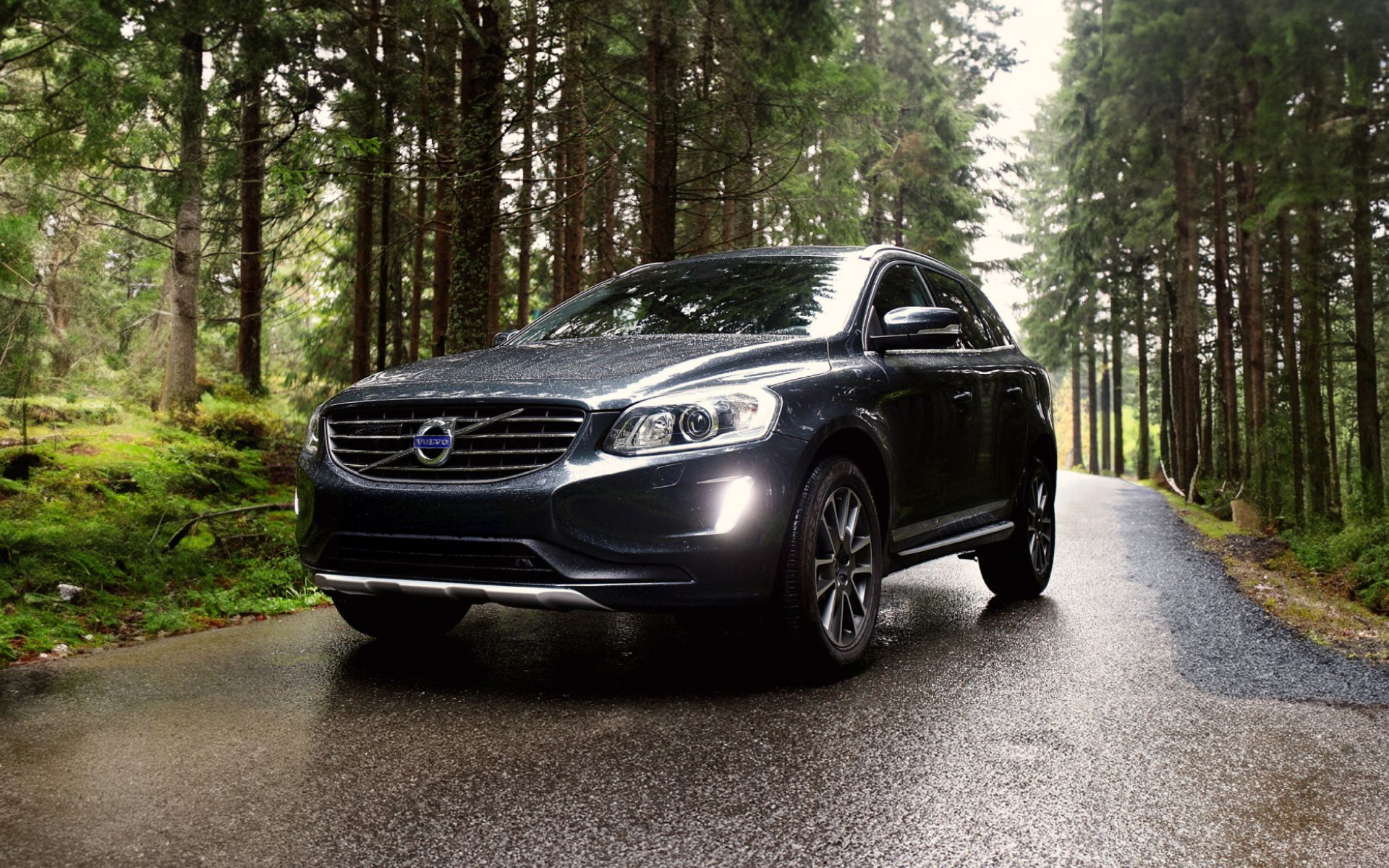 Volvo Auto Repair - Euro Auto Repair in Carrollton, TX
