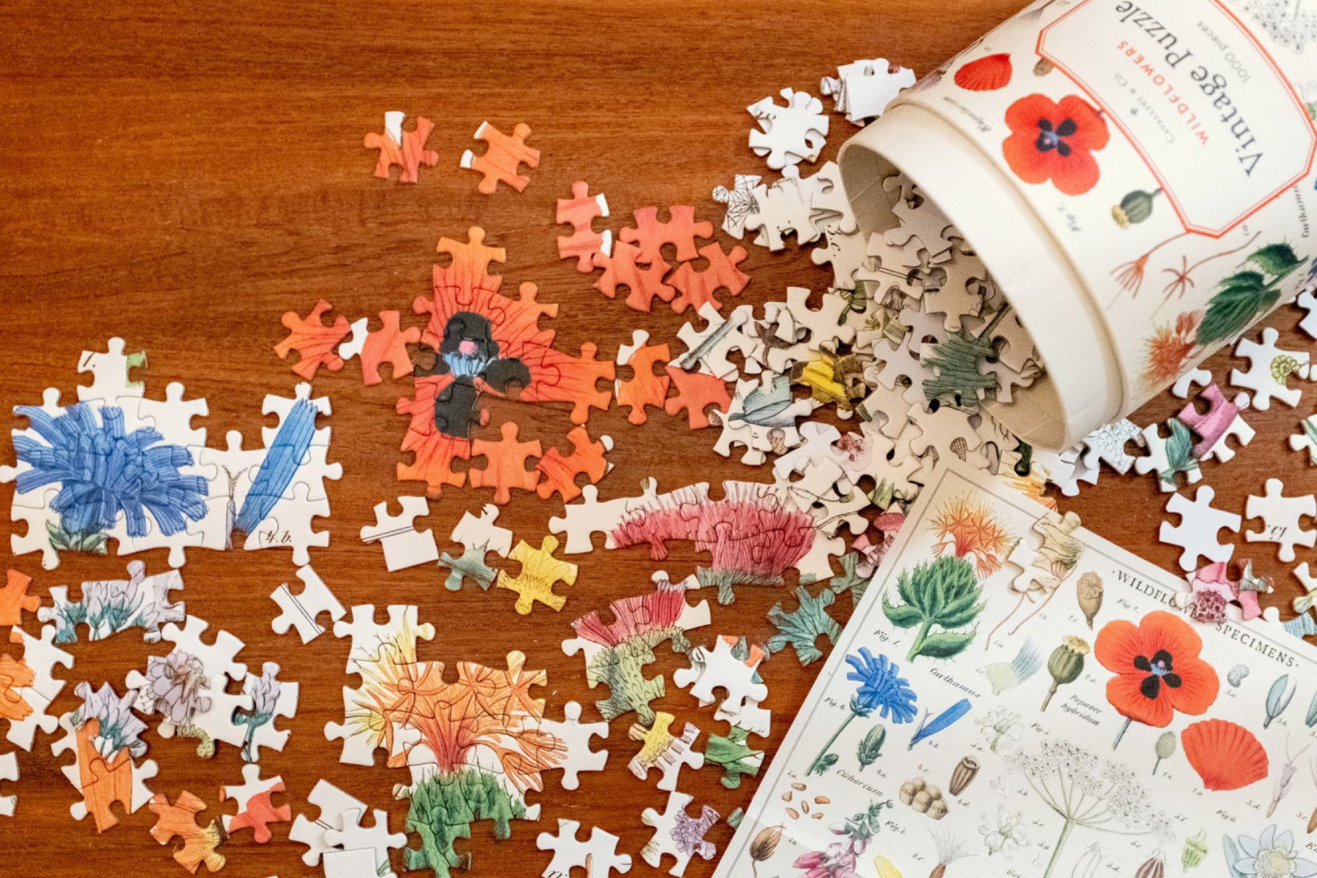 Puzzle de 1000 peças Cavallini