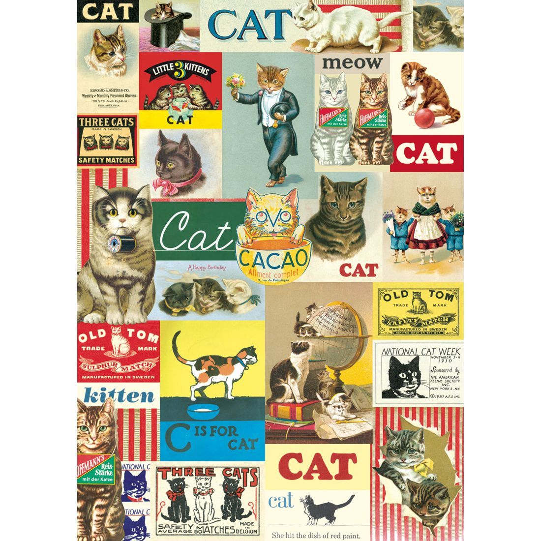 Poster Vintage Cats (50X70cm)