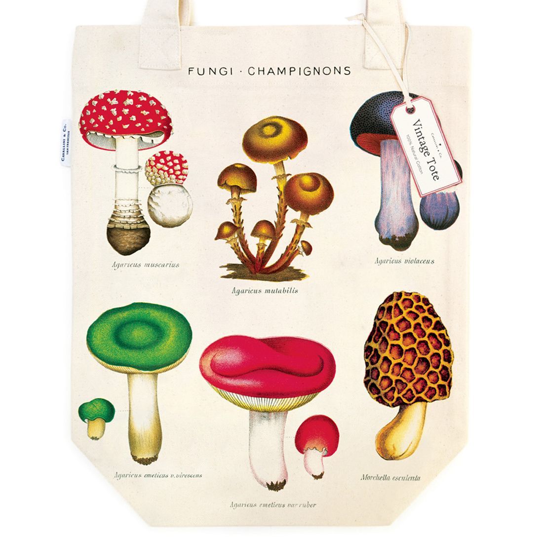 Tote Bag Mushrooms (33X40.5cm)