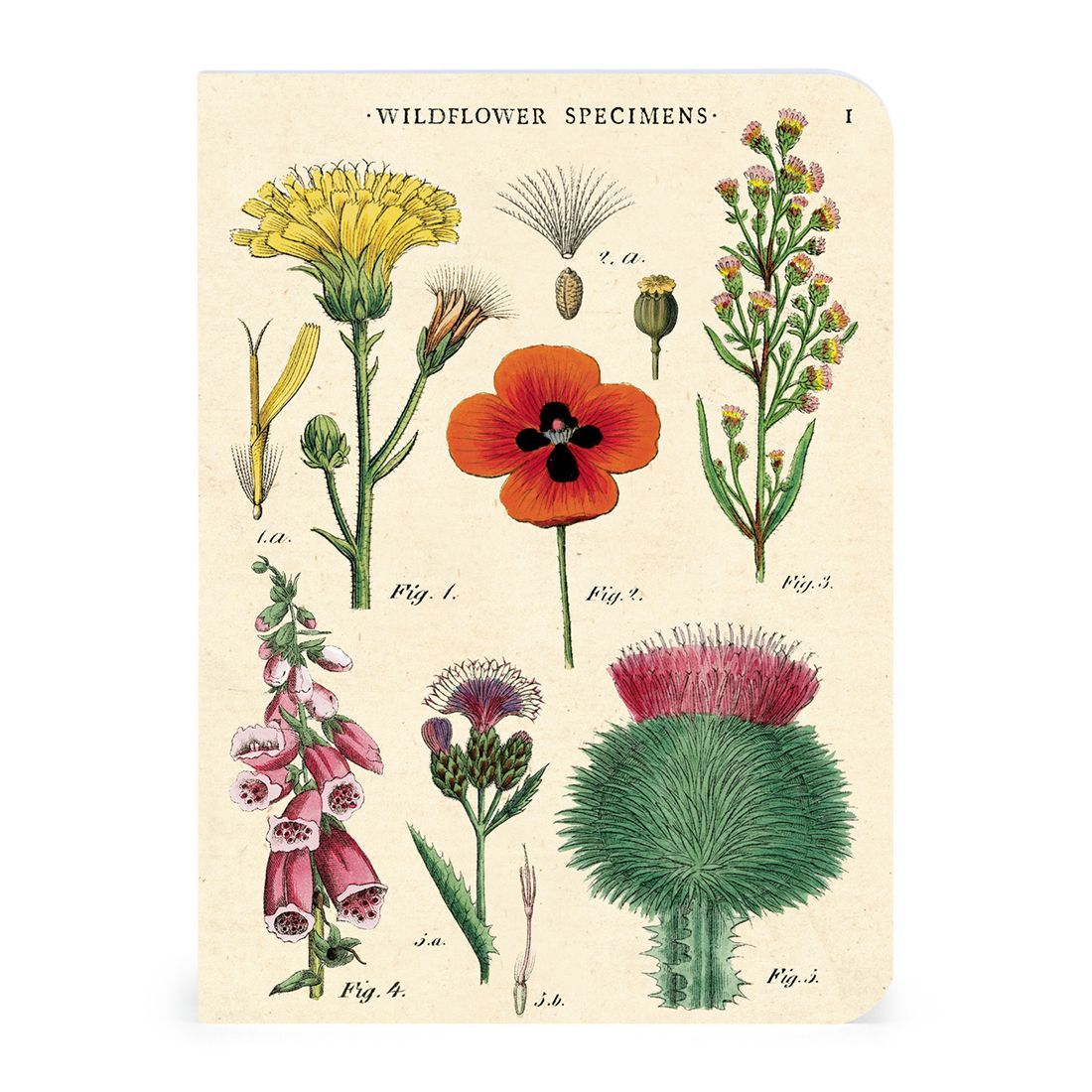 Mini Caderno Wildflowers (10X14cm)