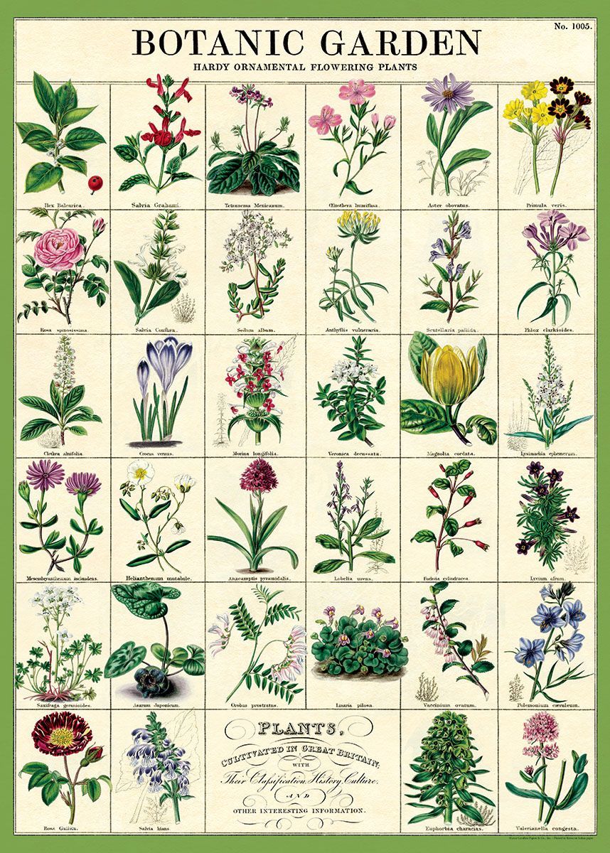 Poster Botanic Garden