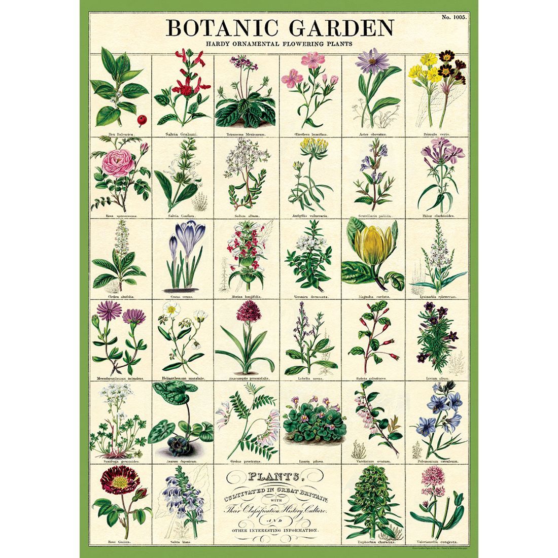Poster Botanic Garden (50X70cm)