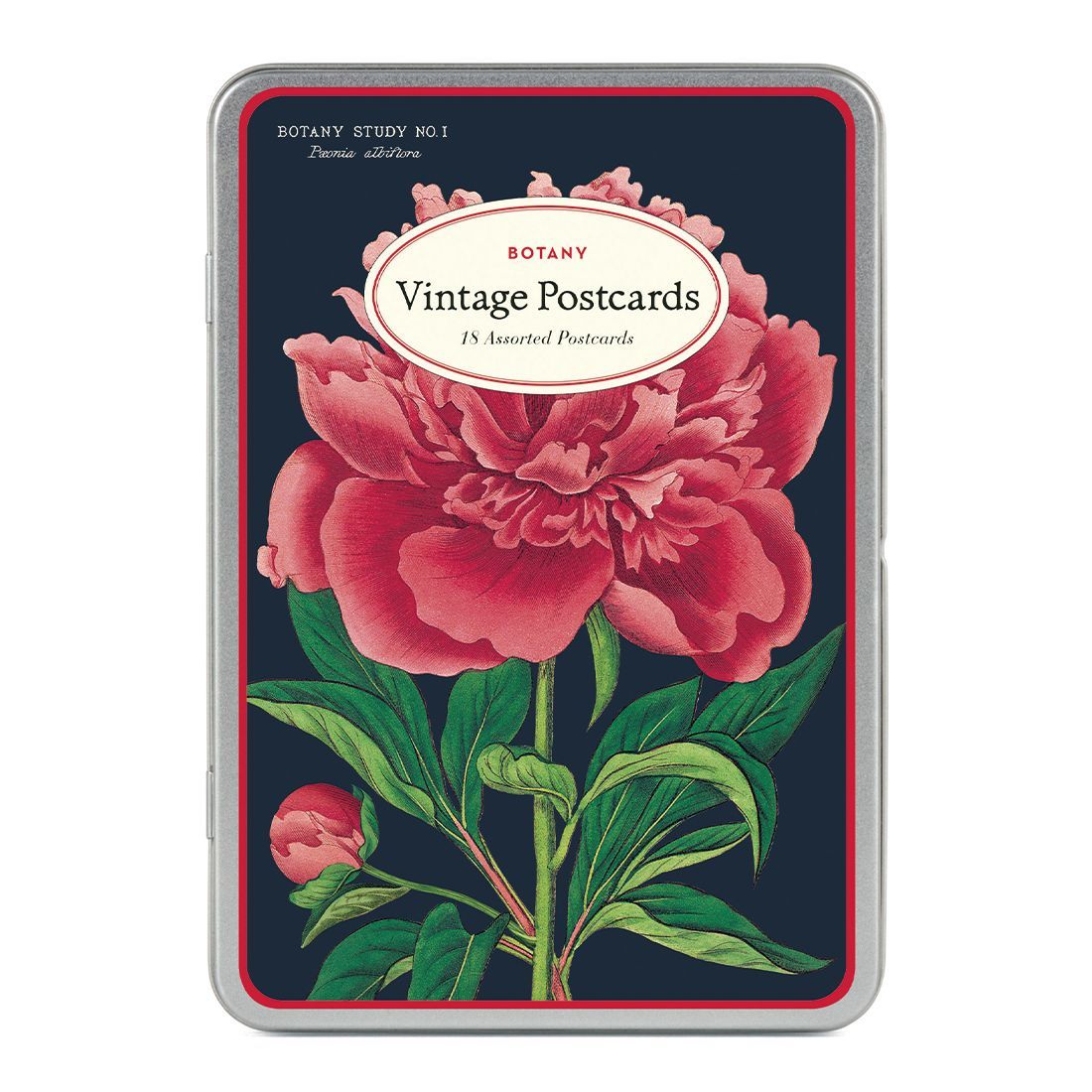 Postais Vintage Botanica (9.5X14cm)
