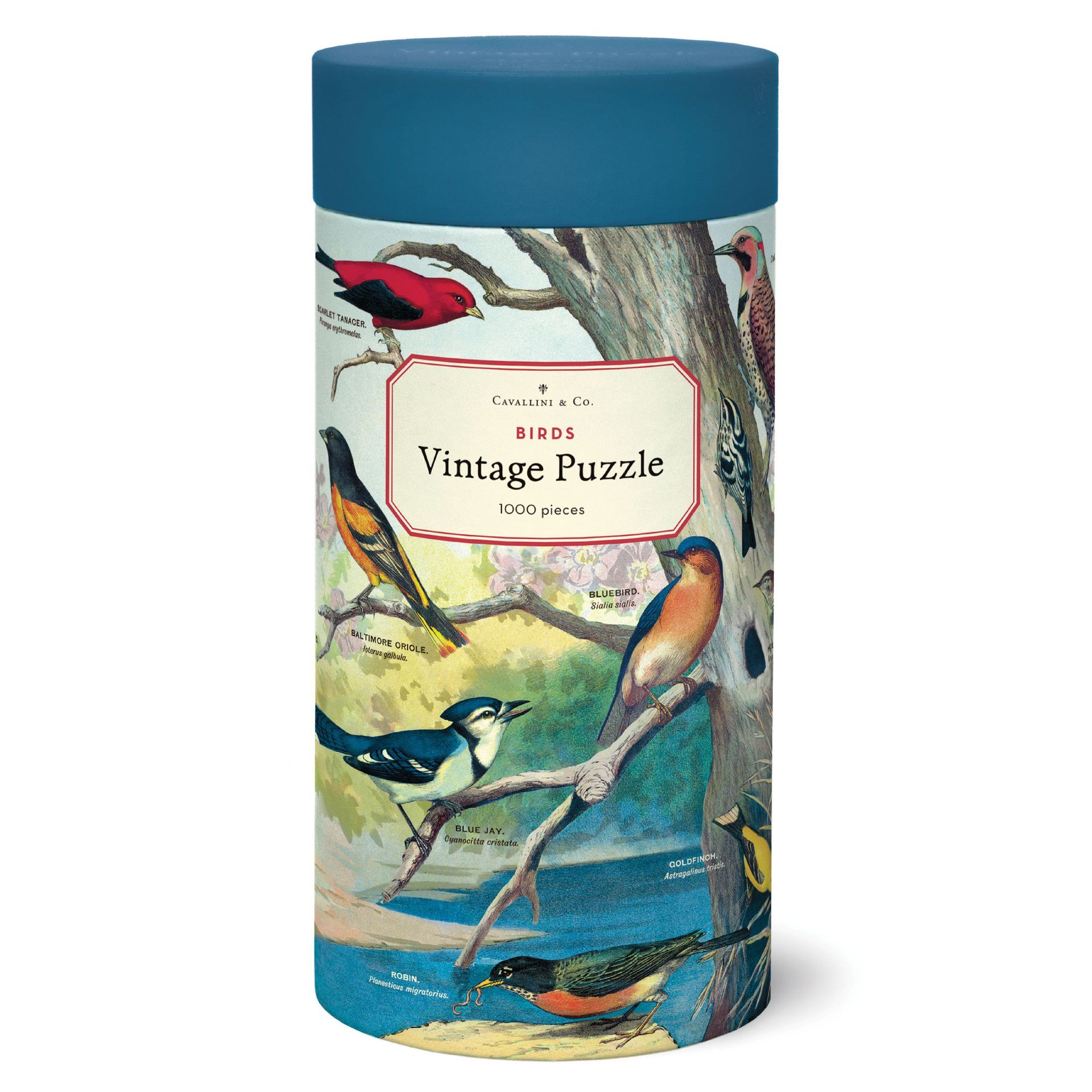 Puzzle Birds 1000 Peças (55X70cm)