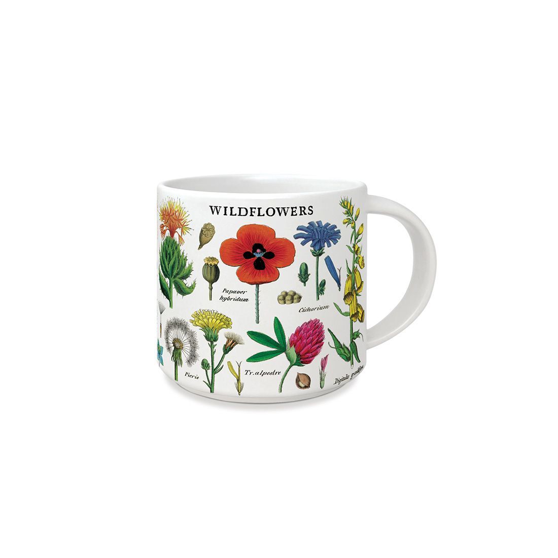 Caneca Vintage Wildflowers