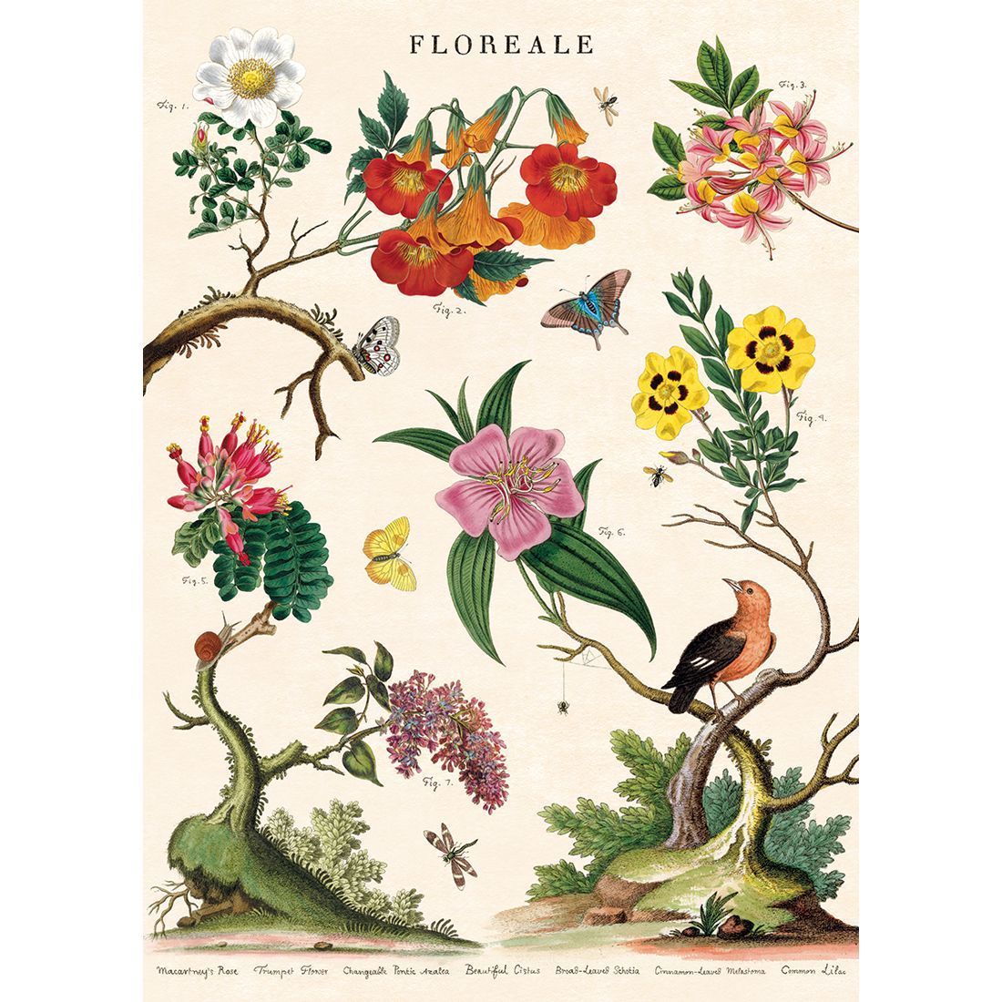 Poster Floreale (50X70cm)