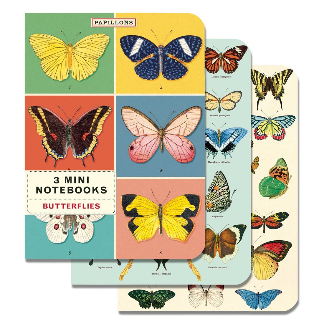 Mini Caderno Butterflies (10X14cm)