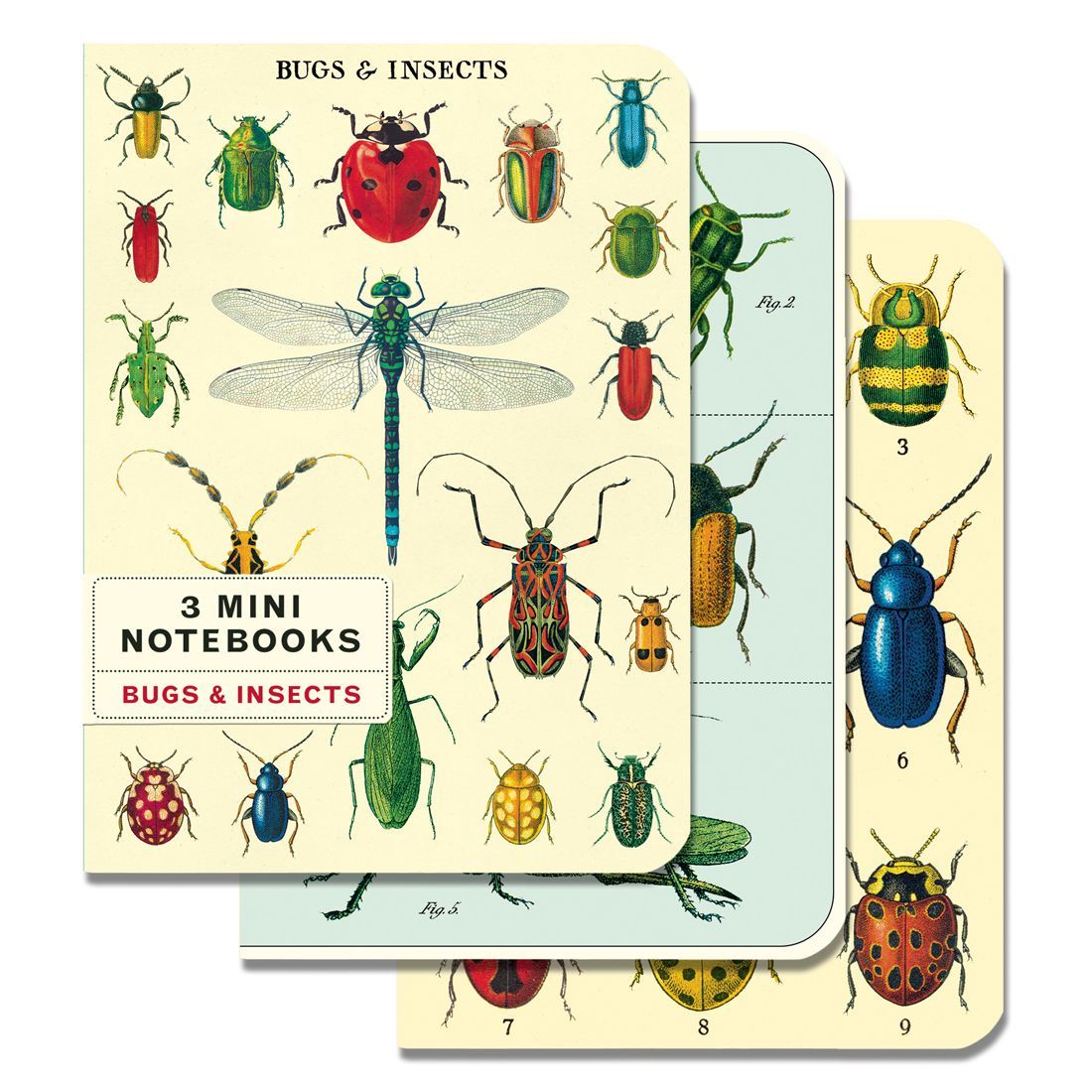 Mini Caderno Bugs & Insects (10X14cm)