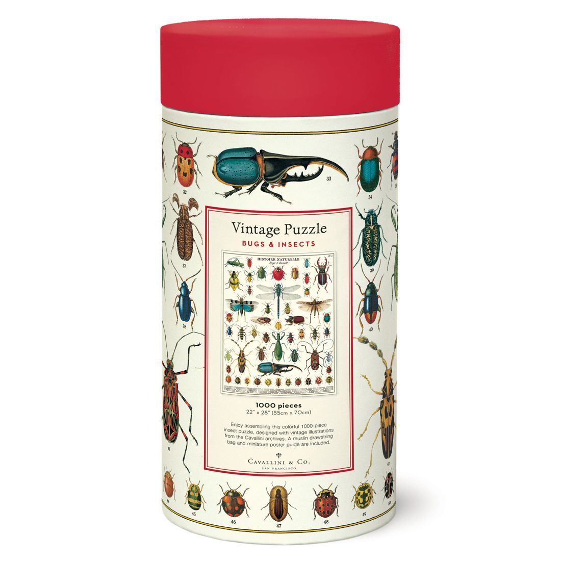 Puzzle Bugs & Insects 1000 Peças (55X70cm)