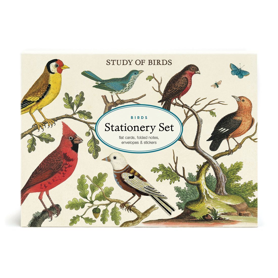Set de Papelaria Birds (13X17X4cm)