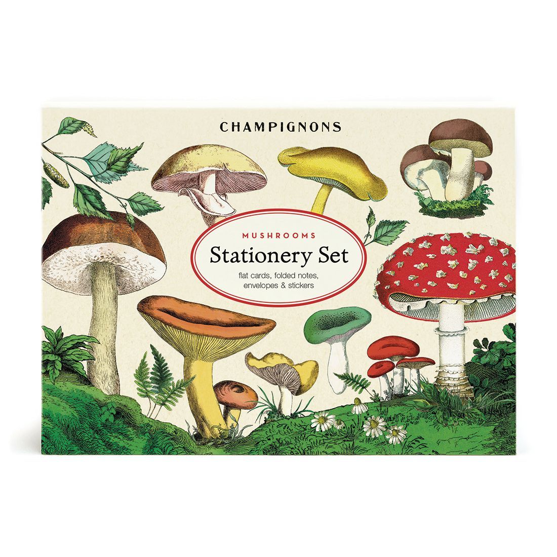 Set de Papelaria Mushrooms (13X17X4cm)