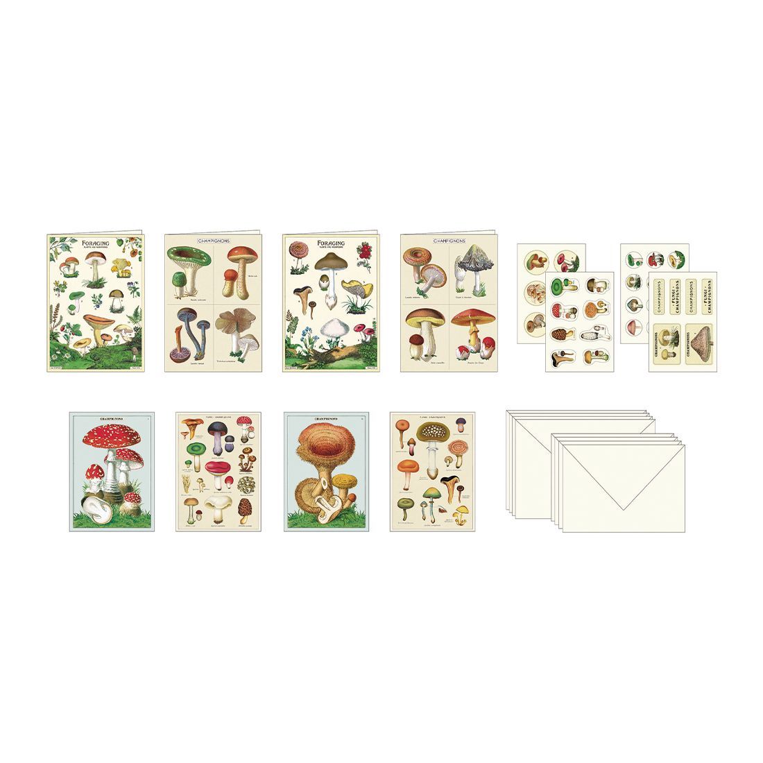 Set de Papelaria Mushrooms (13X17X4cm)