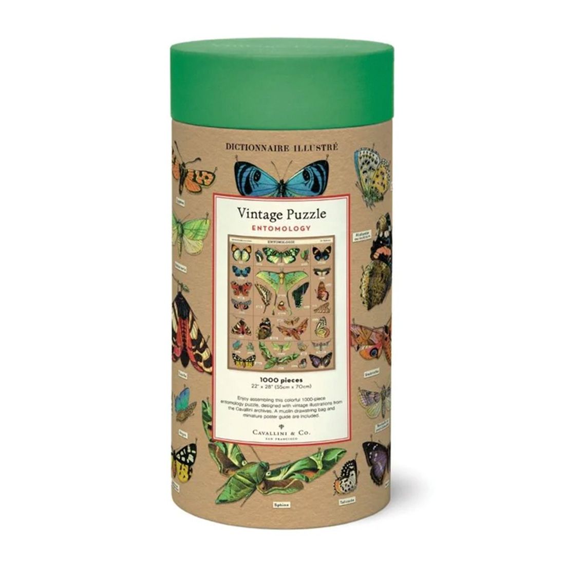 Puzzle Entomology 1000 Peças (55X70cm)