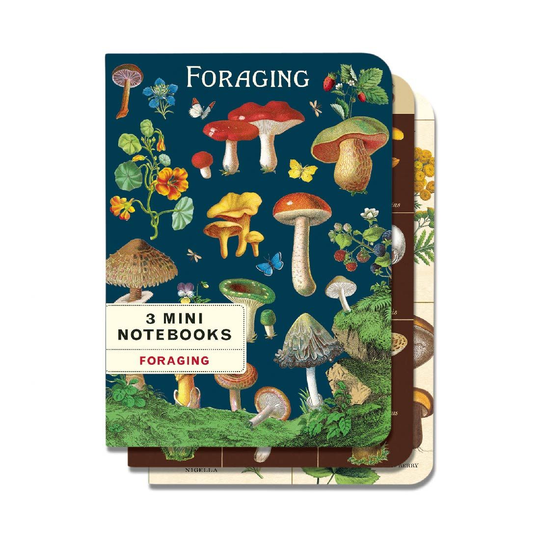 Mini Caderno Foraging (10X14cm)