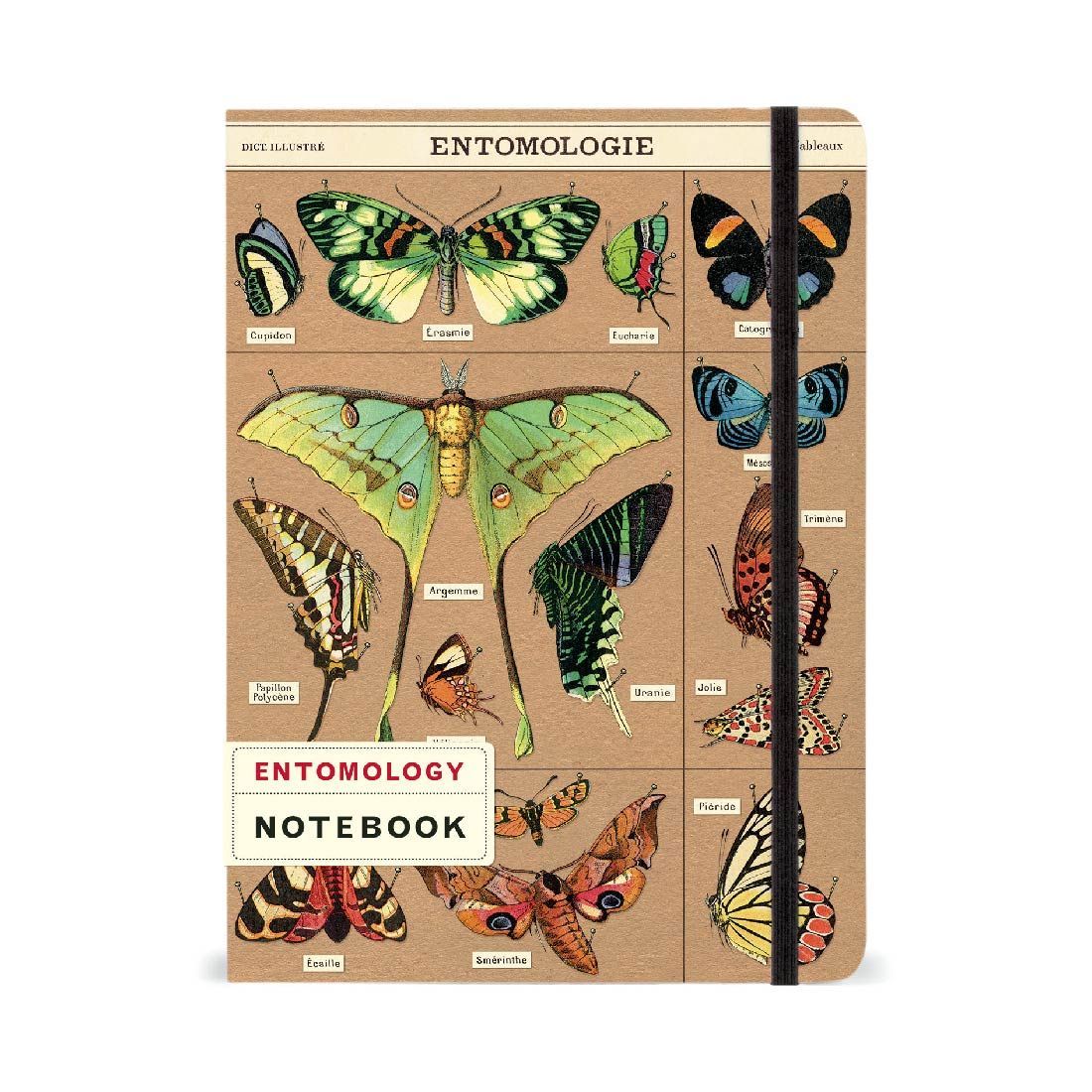 Caderno Entomology (15X20cm)