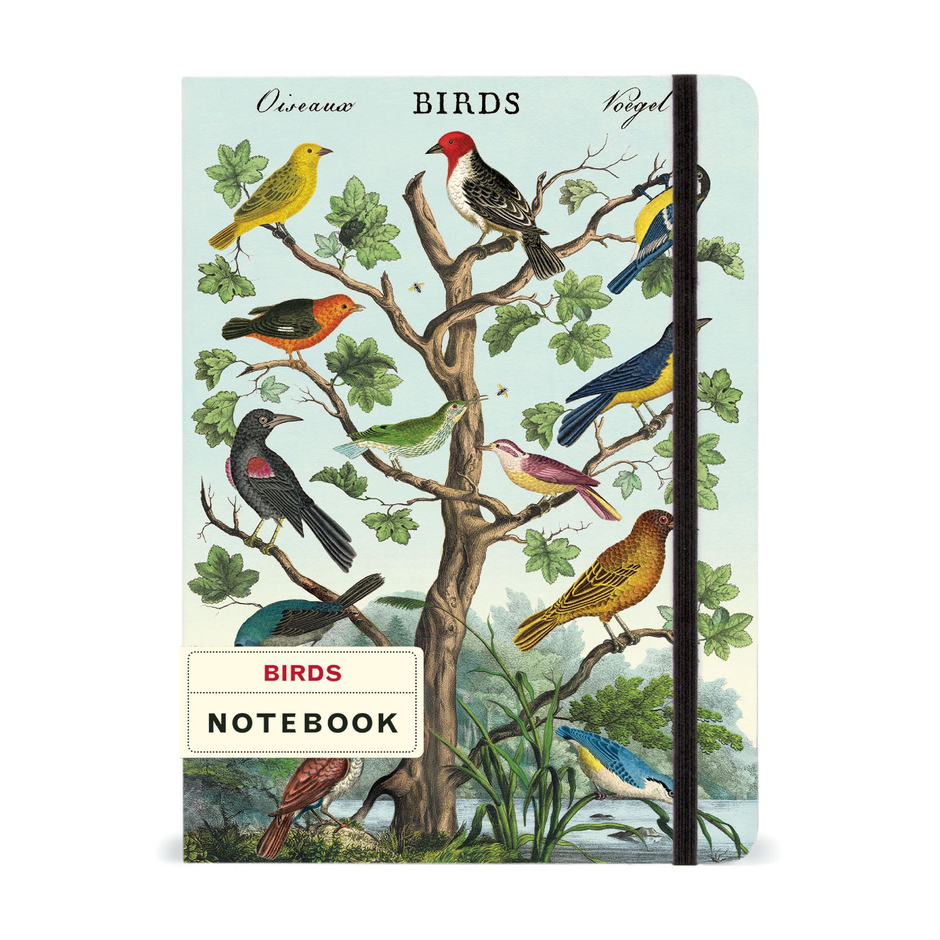 Caderno Birds (15X20cm)