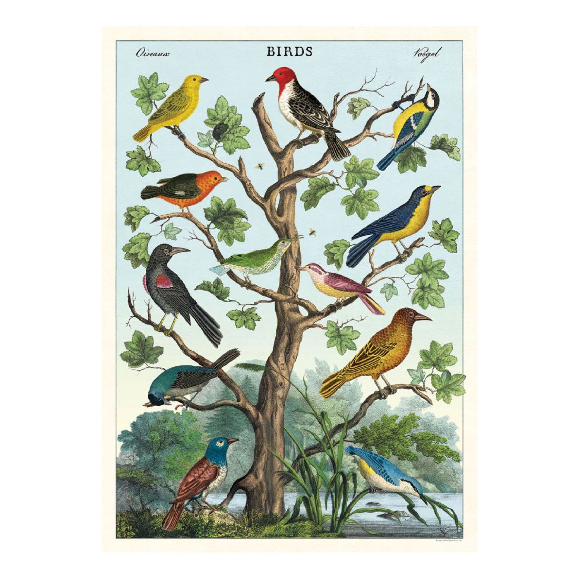 Poster Birds in a Tree (50X70cm)