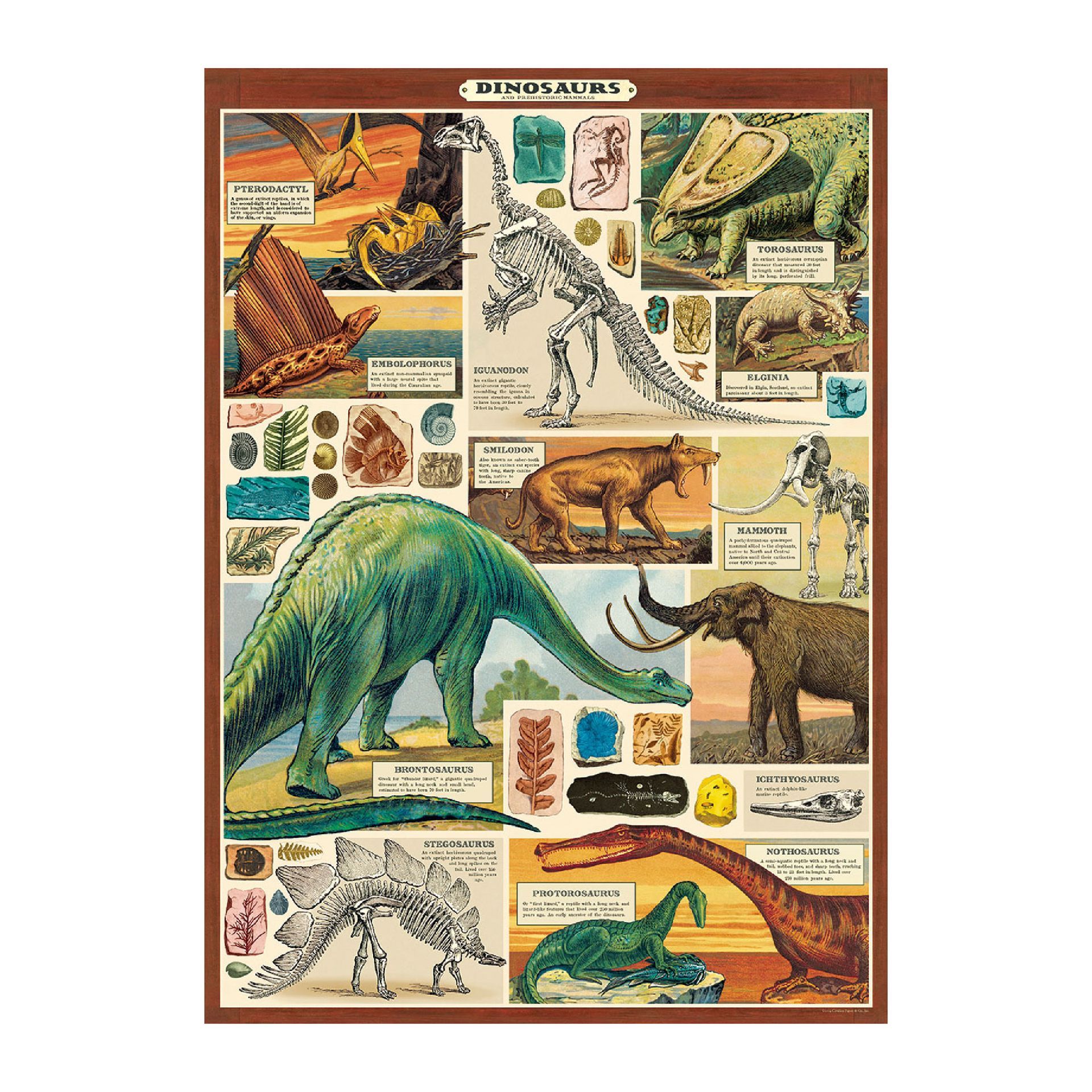 Poster Dinosaurs 2 (50X70cm)