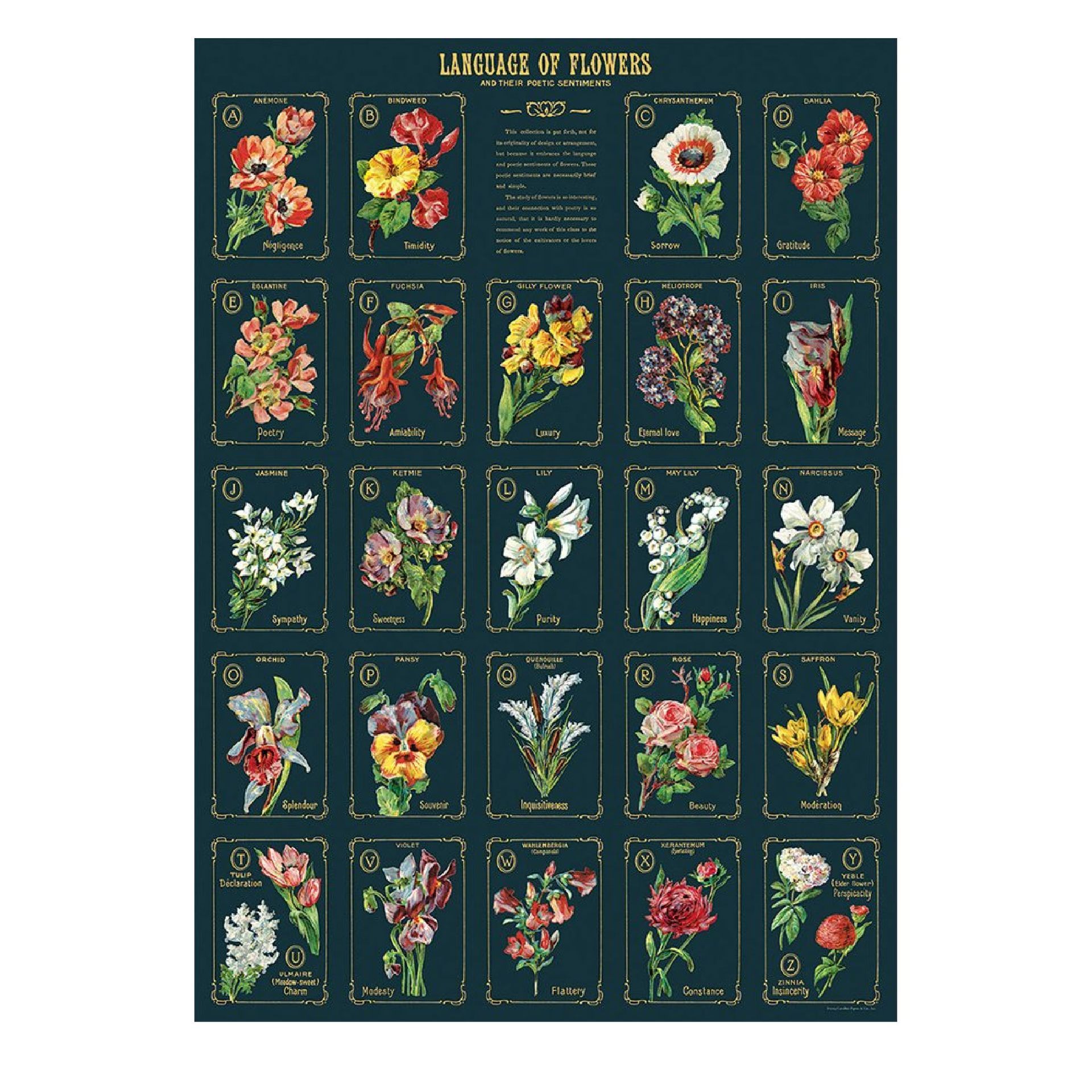 Poster Language of Flowers 2 (50X70cm)