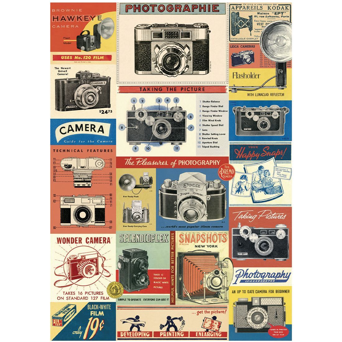 Poster Vintage Cameras (50X70cm)