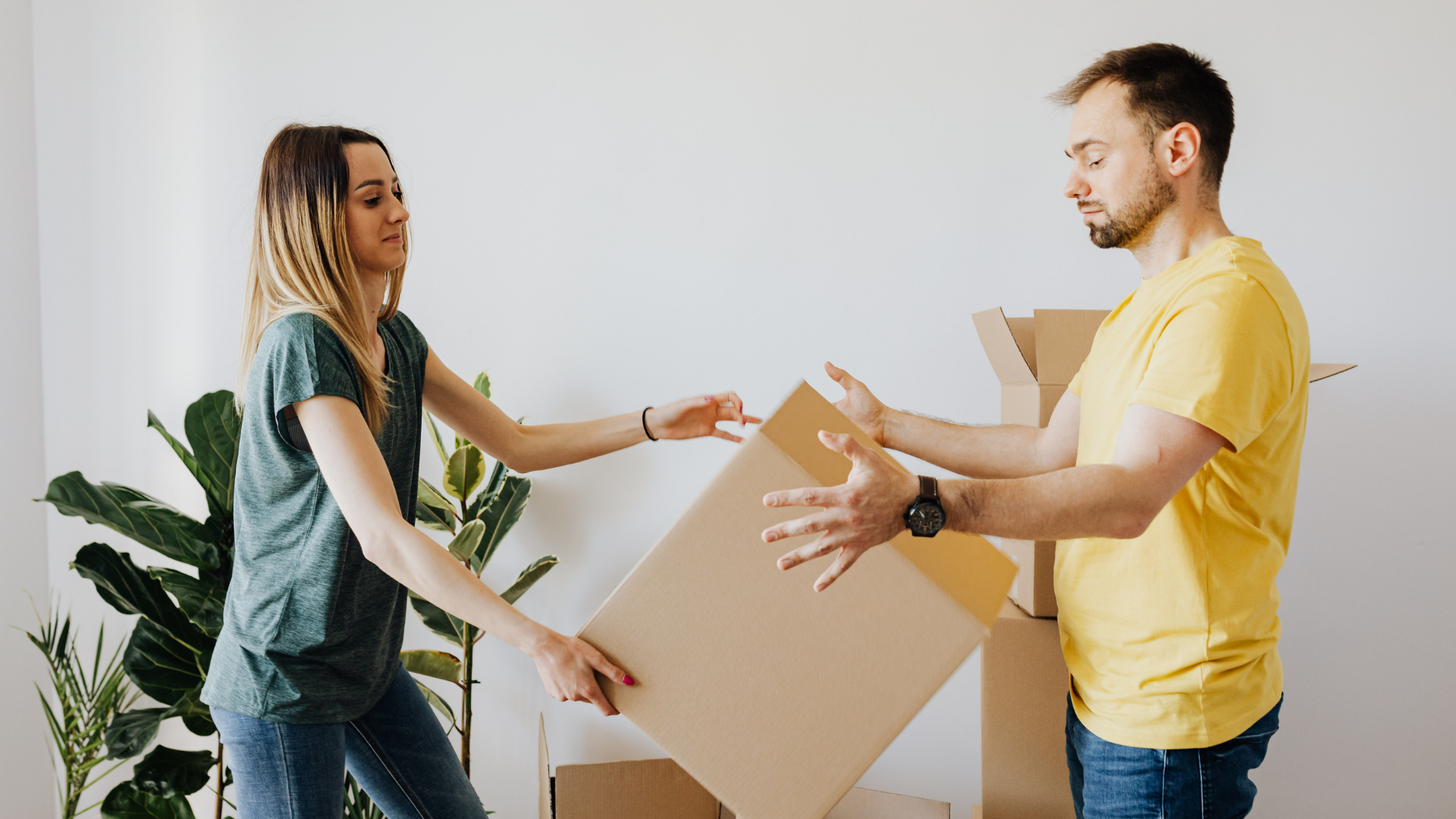 Two people carrying a cardboard box in a bright room with a potted plant in the background