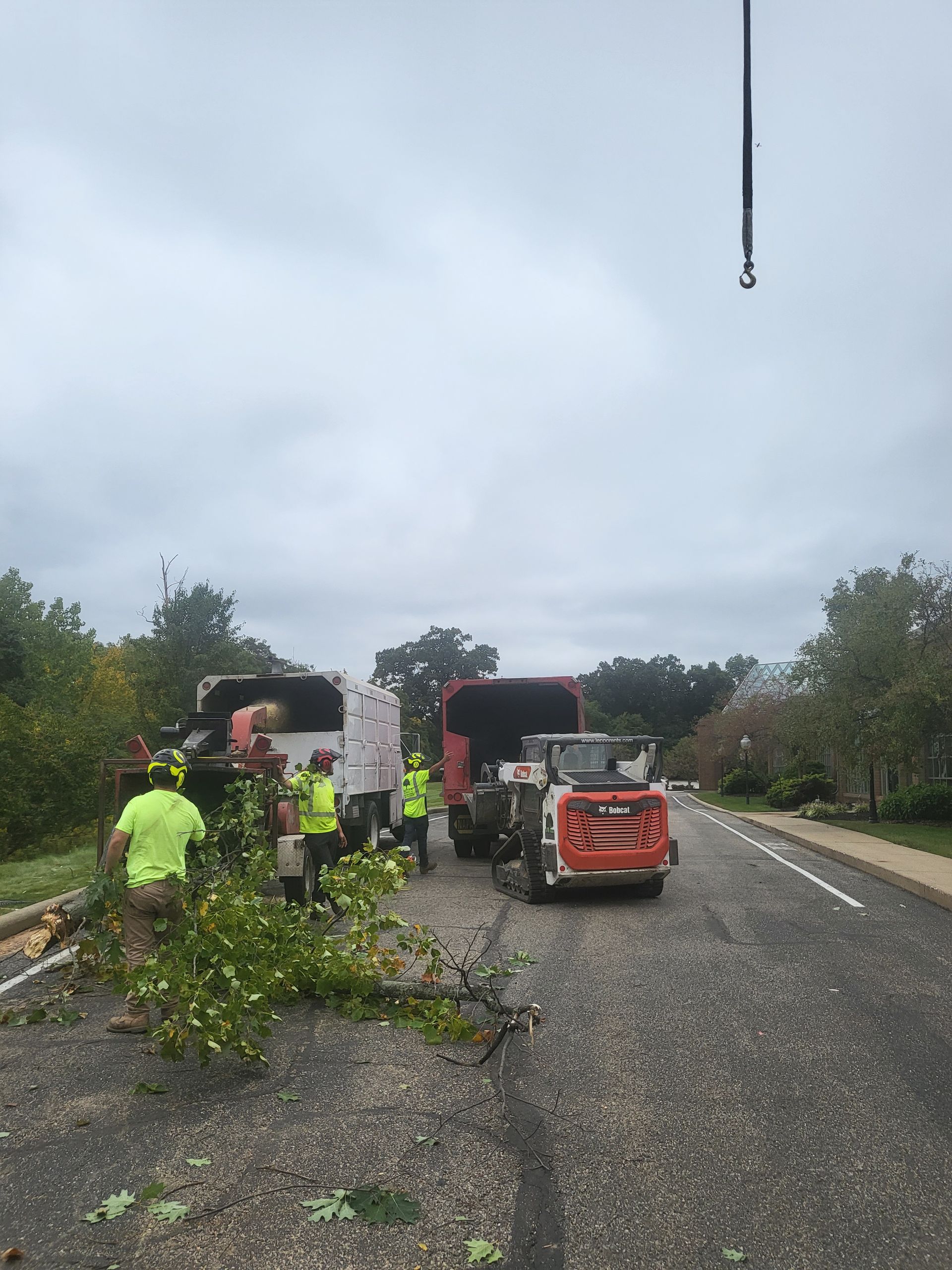 Workers in safety vests trim a tree on a road with equipment. Overcast sky.