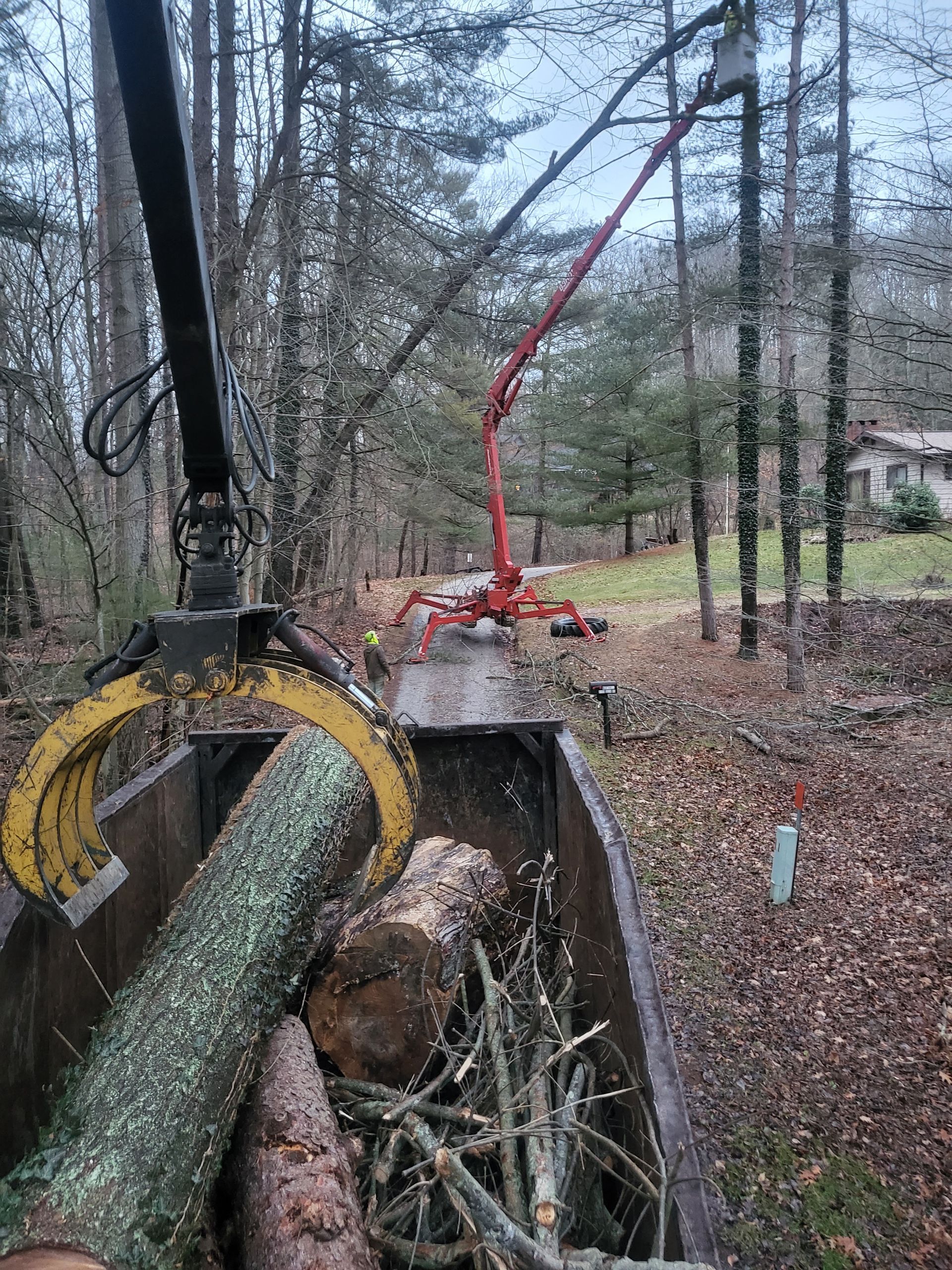 A grapple arm loads logs into a dump bed; an aerial lift trims a tree in a wooded area.