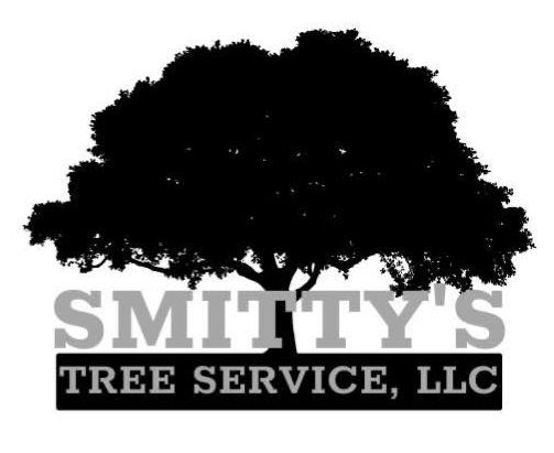 Silhouette of a large tree with