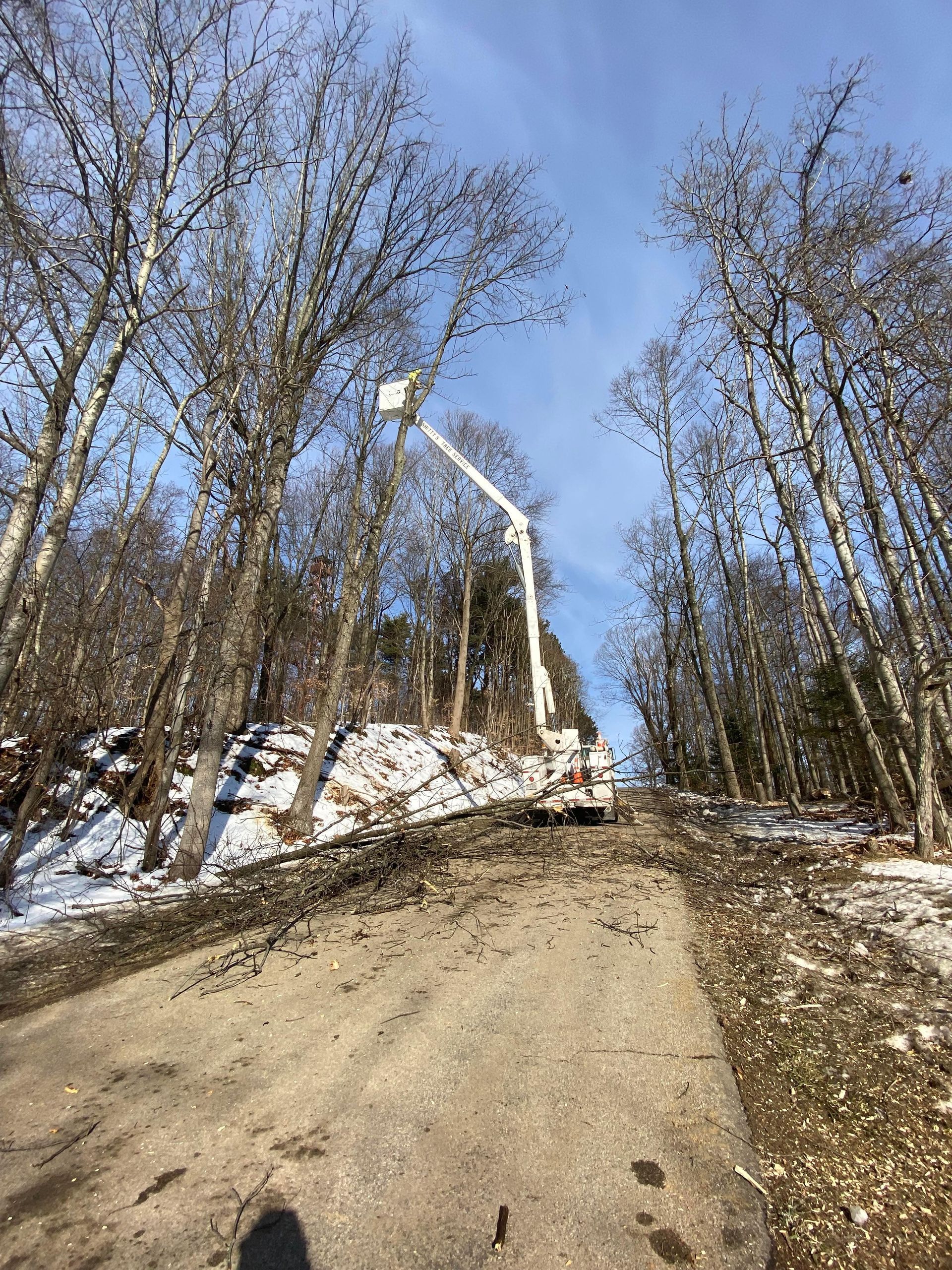 Bucket truck on a snowy, debris-covered road, trees on either side against a blue sky.