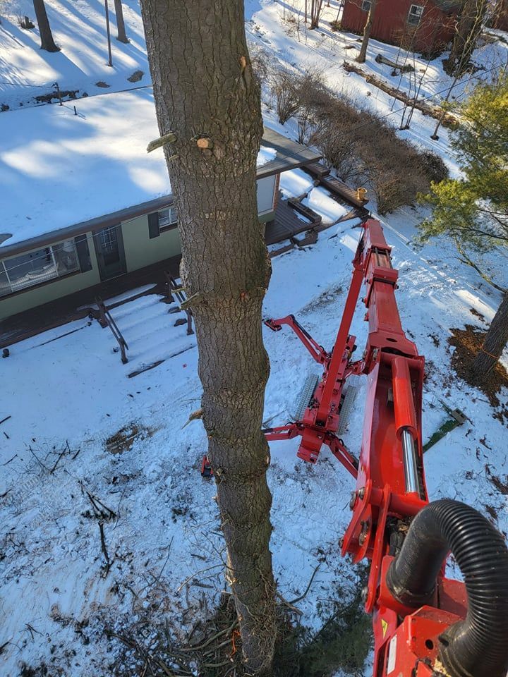 A large tree trunk with a red crane next to it. Snow covers the ground with a house in the background.