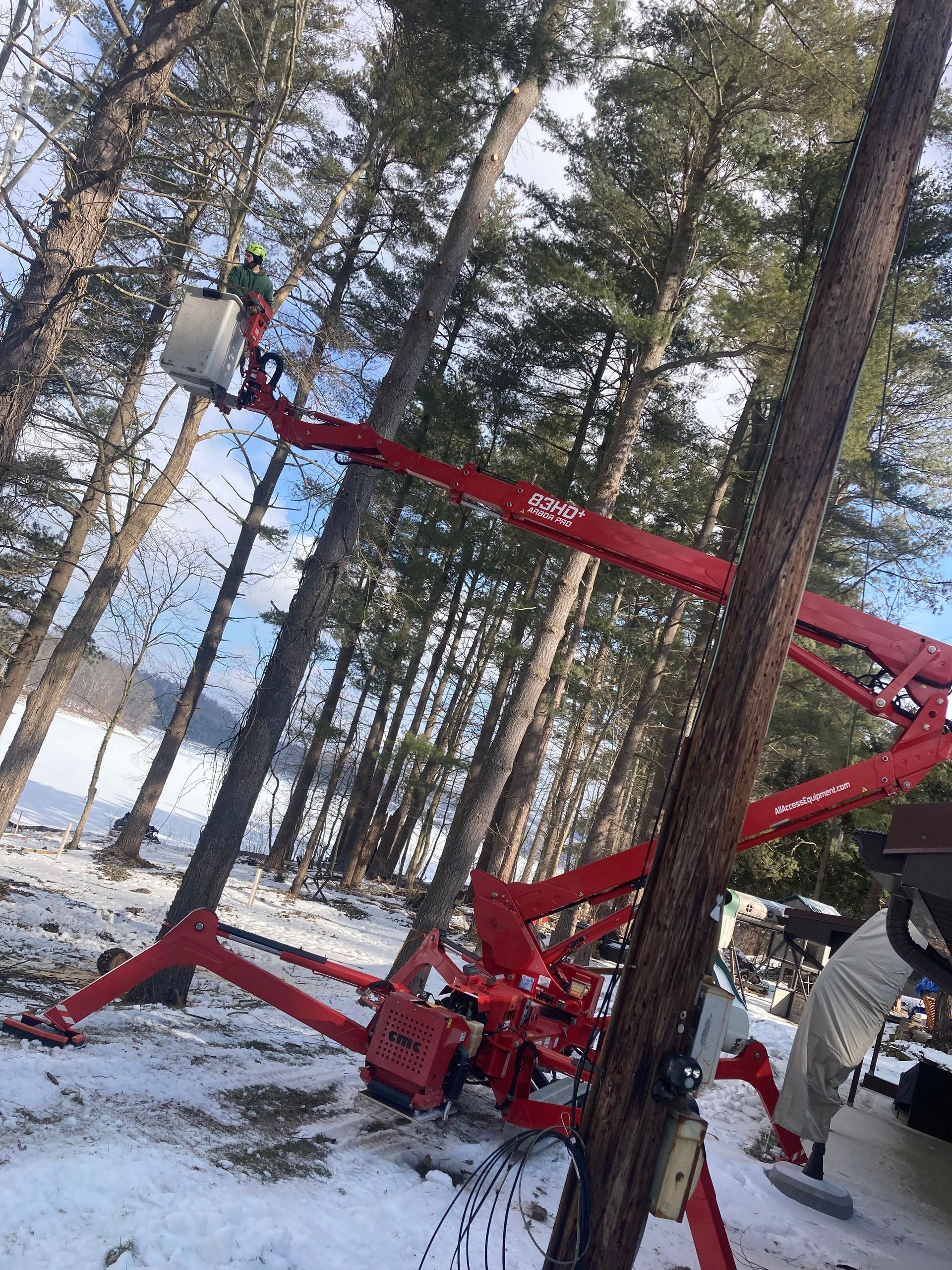 Red lift truck trimming a tall tree in a snowy, wooded area.
