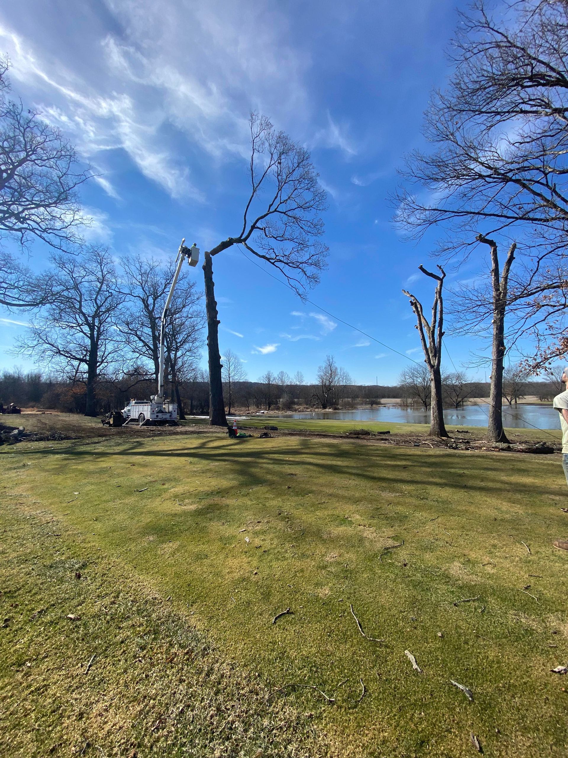 Trees trimmed along a grassy lawn, with a body of water and bright blue sky visible in the background.