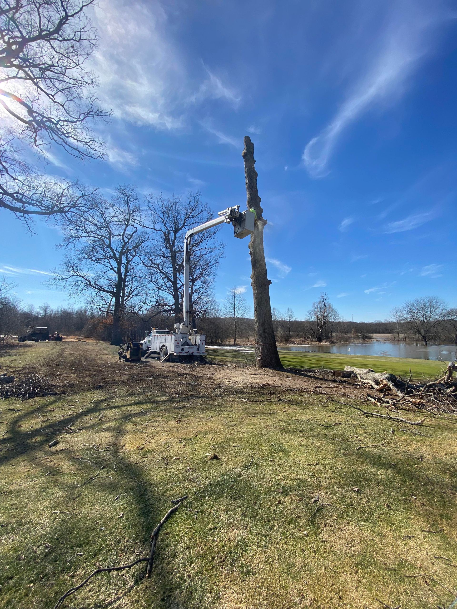 A tree service truck trims a tall tree trunk under a bright blue sky.