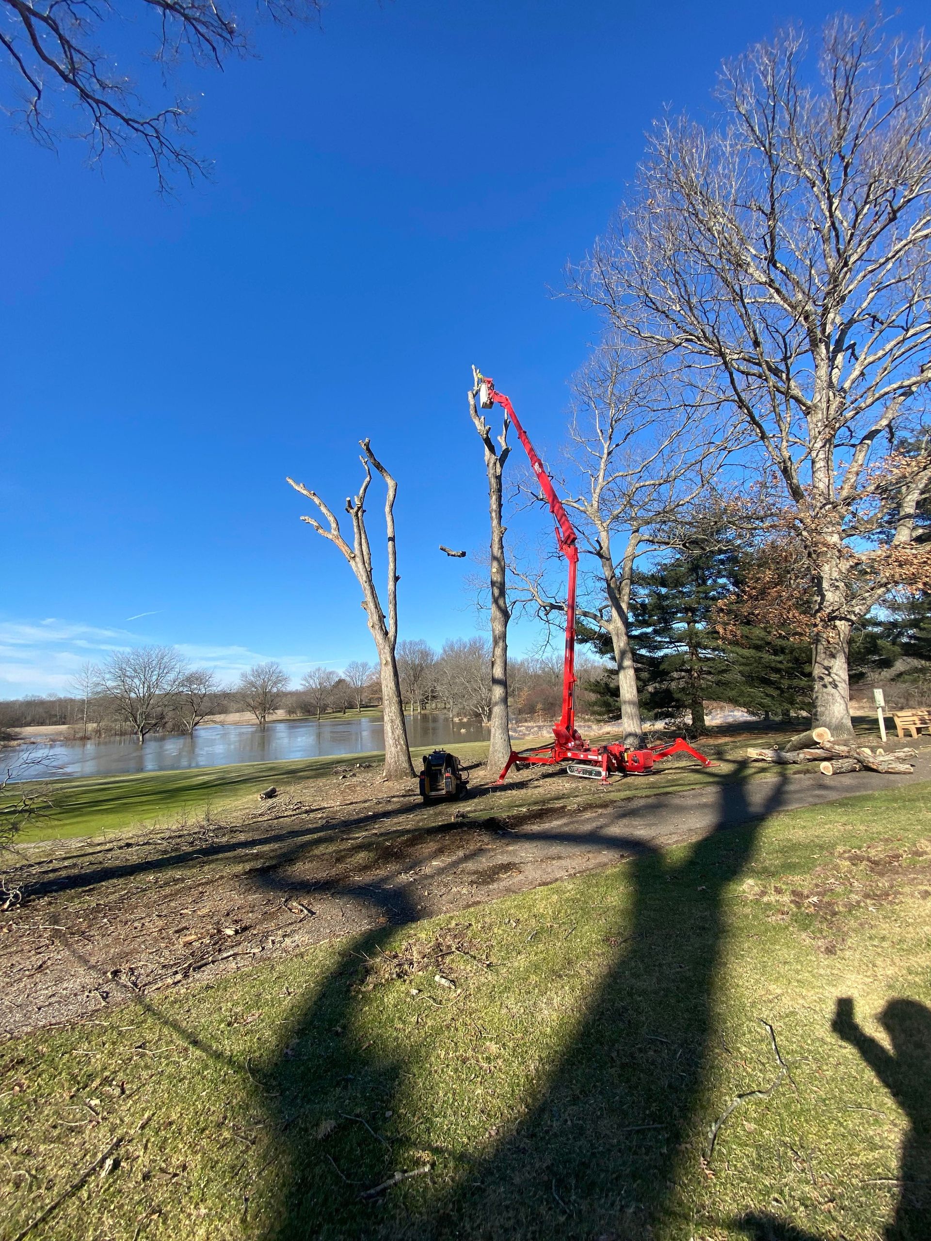 Red lift truck trimming bare trees by a lake on a sunny day.
