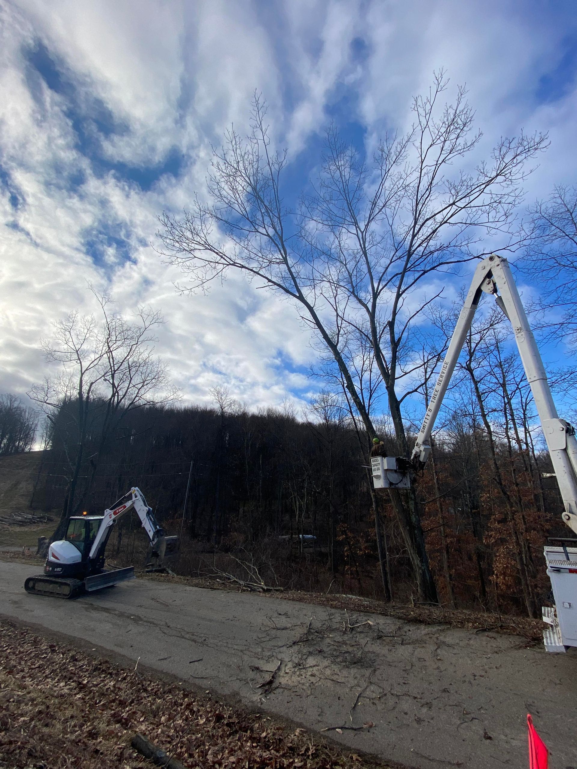 An excavator and lift truck trimming a bare tree on a hillside under a cloudy sky.