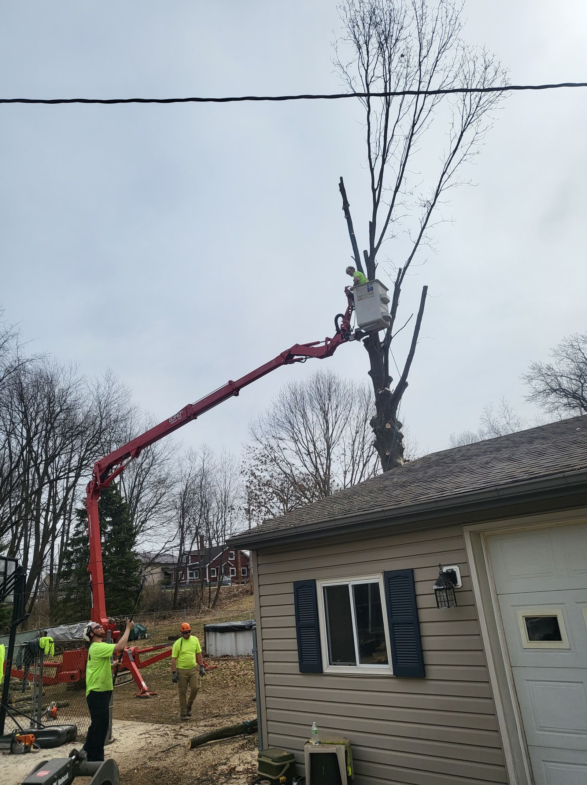 Workers trim a tall tree with an aerial lift, near a house with gray siding under a cloudy sky.